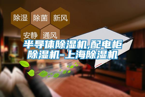 半導體91看片网站,配電櫃91看片网站-上海91看片网站