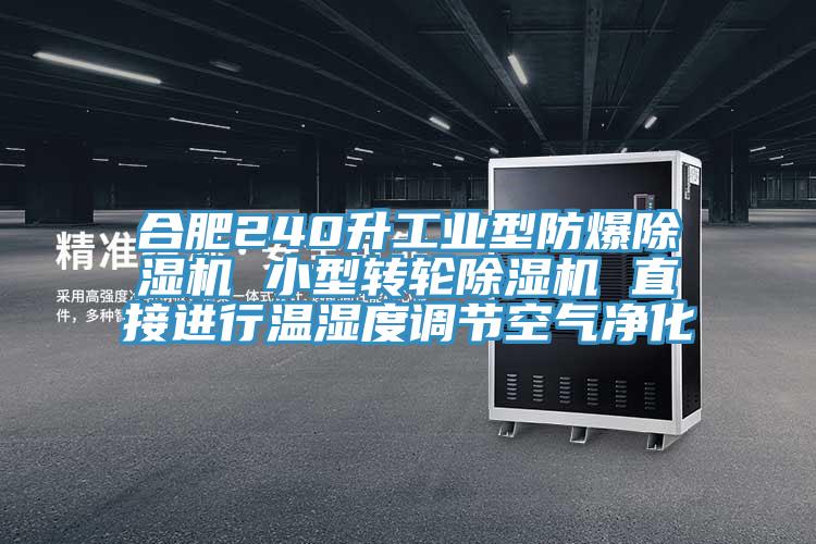 合肥240升工業型防爆91看片网站 小型轉輪91看片网站 直接進行溫濕度調節空氣淨化