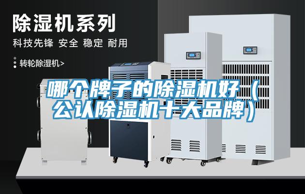 哪個牌子的91看片网站好（公認91看片网站十大品牌）