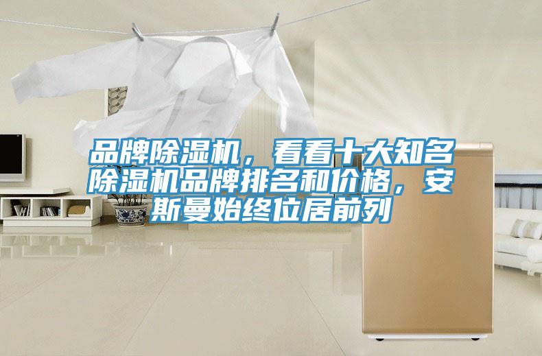 品牌91看片网站，看看十大知名91看片网站品牌排名和價格，安斯曼始終位居前列
