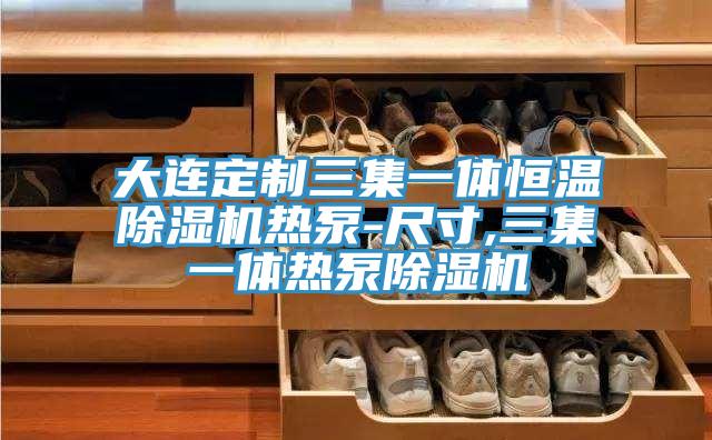 大連定製三集一體恒溫91看片网站熱泵-尺寸,三集一體熱泵91看片网站