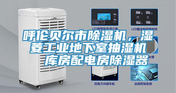 呼倫貝爾市91看片网站，濕菱工業地下室抽濕機  庫房配電房除濕器