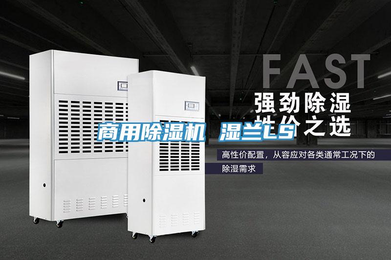 商用91看片网站 濕蘭LS