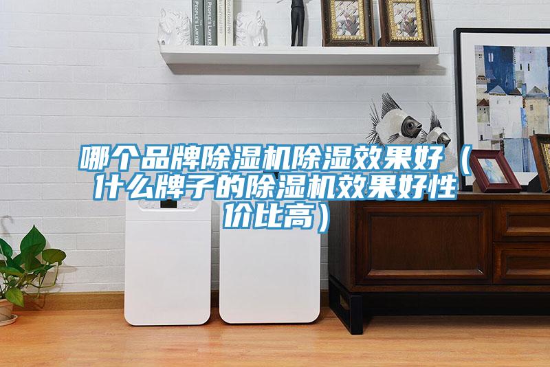 哪個品牌91看片网站除濕效果好（什麽牌子的91看片网站效果好性價比高）
