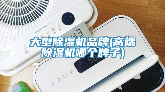 大型91看片网站品牌(高端91看片网站哪個牌子)