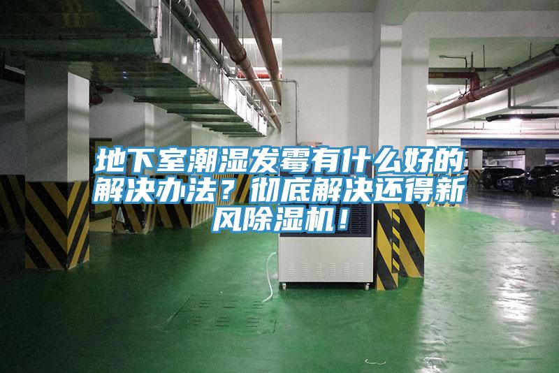 地下室潮濕發黴有什麽好的解決辦法？徹底解決還得新風91看片网站！