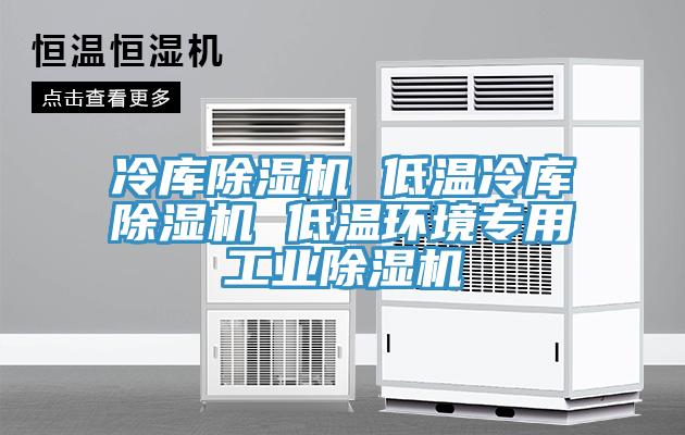 冷庫91看片网站 低溫冷庫91看片网站 低溫環境專用工業91看片网站