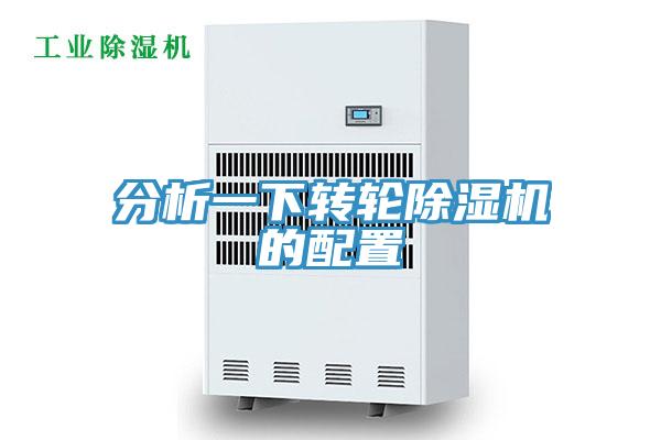 分析一下轉輪91看片网站的配置