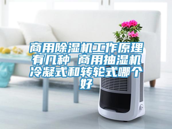 商用91看片网站工作原理有幾種 商用抽濕機冷凝式和轉輪式哪個好