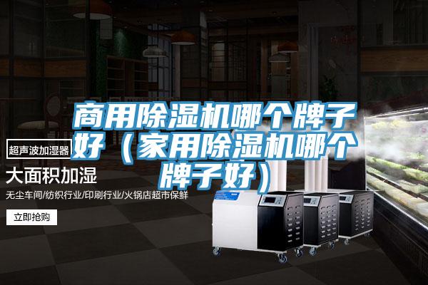 商用91看片网站哪個牌子好（家用91看片网站哪個牌子好）