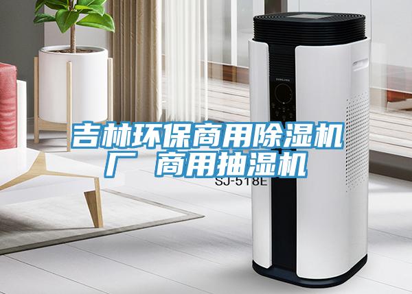吉林環保商用91看片网站廠 商用抽濕機
