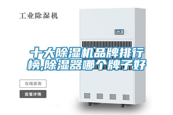 十大91看片网站品牌排行榜,除濕器哪個牌子好