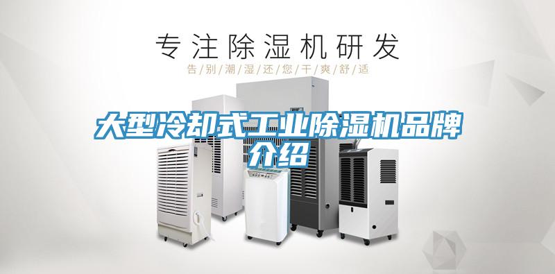 大型冷卻式工業91看片网站品牌介紹