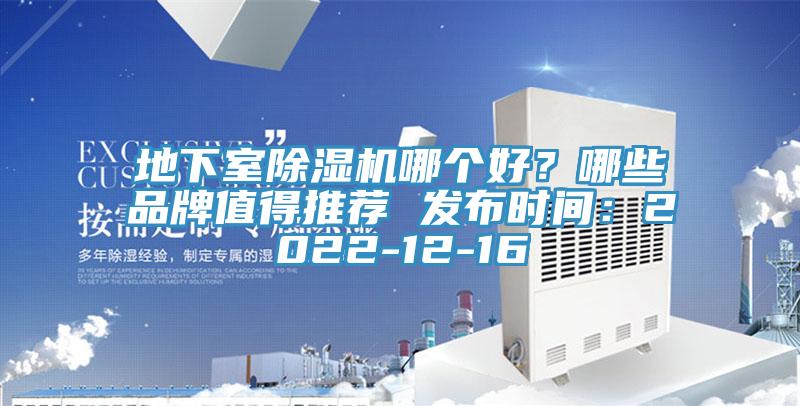 地下室91看片网站哪個好？哪些品牌值得推薦 發布時間：2022-12-16