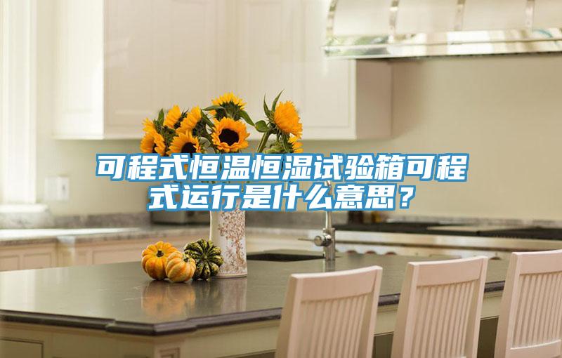 可程式恒溫恒濕試驗箱可程式運行是什麽意思？