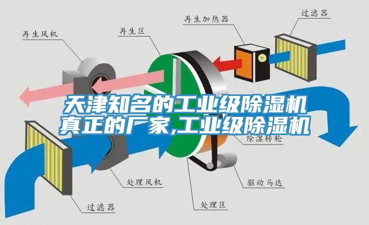 天津知名的工業級91看片网站真正的廠家,工業級91看片网站