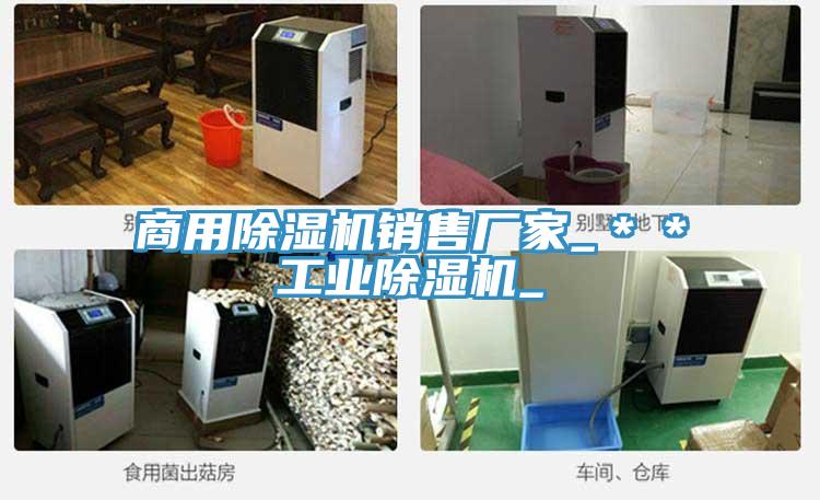 商用91看片网站銷售廠家_＊＊工業91看片网站_