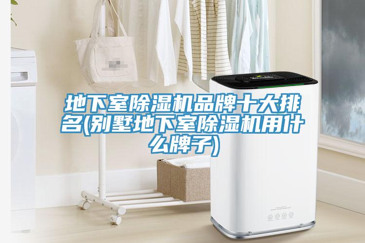 地下室91看片网站品牌十大排名(別墅地下室91看片网站用什麽牌子)