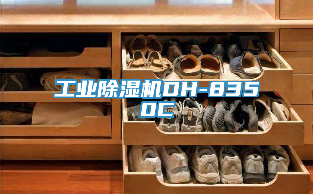 工業91看片网站DH-8350C
