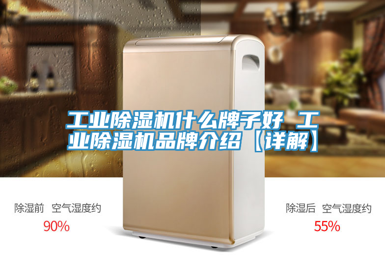 工業91看片网站什麽牌子好 工業91看片网站品牌介紹【詳解】
