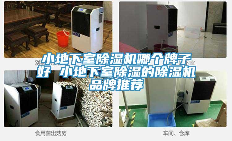 小地下室91看片网站哪個牌子好 小地下室除濕的91看片网站品牌推薦