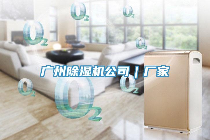 廣州91看片网站公司｜廠家