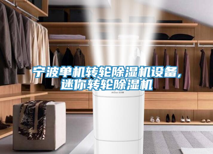 寧波單機轉輪91看片网站設備,迷你轉輪91看片网站