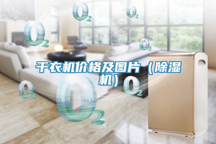 幹衣機價格及圖片（91看片网站）