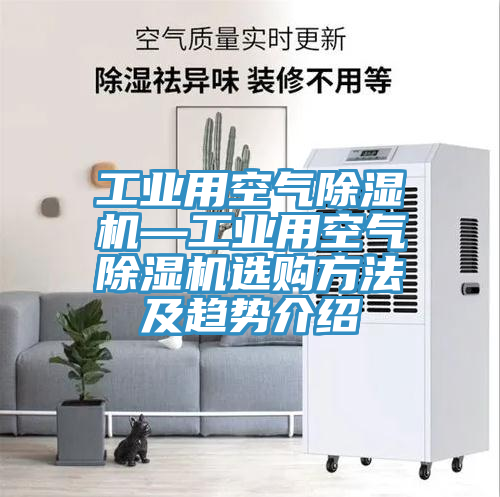 工業用空氣91看片网站—工業用空氣91看片网站選購方法及趨勢介紹