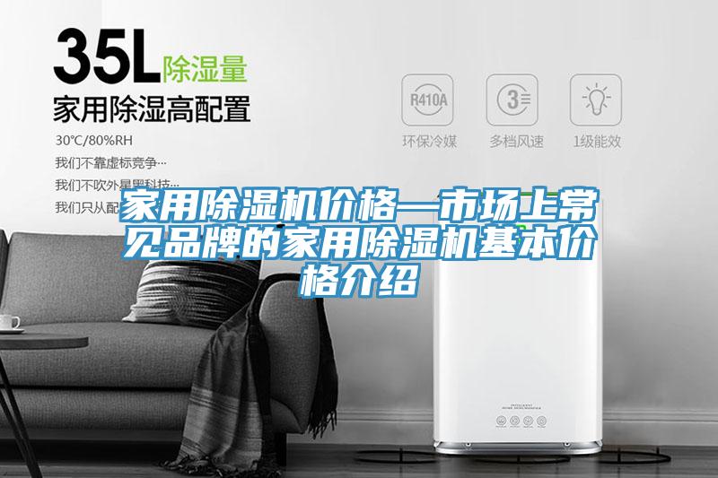 家用91看片网站價格—市場上常見品牌的家用91看片网站基本價格介紹