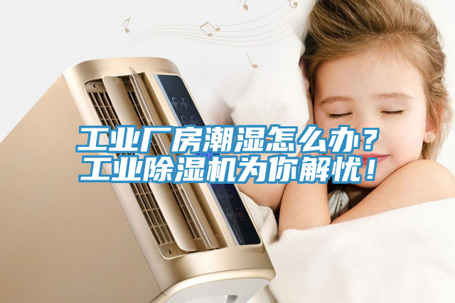 工業廠房潮濕怎麽辦？工業91看片网站為你解憂！