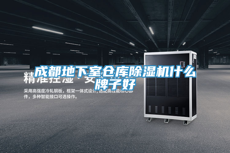 成都地下室倉庫91看片网站什麽牌子好