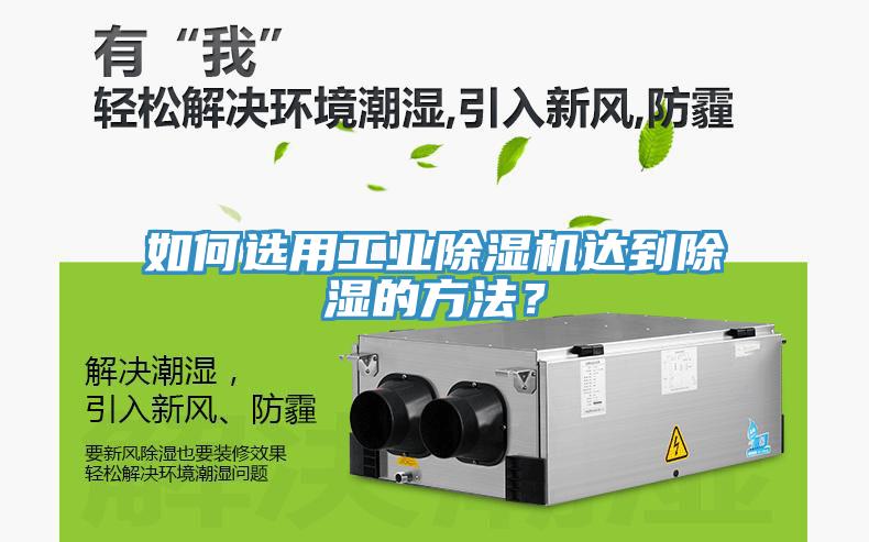 如何選用工業91看片网站達到除濕的方法？