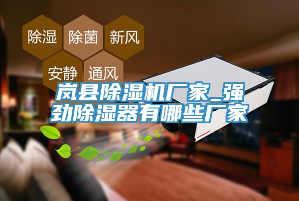 嵐縣91看片网站廠家_強勁除濕器有哪些廠家