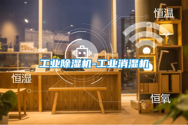 工業91看片网站-工業消濕機