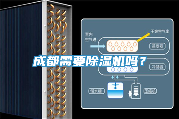 成都需要91看片网站嗎？