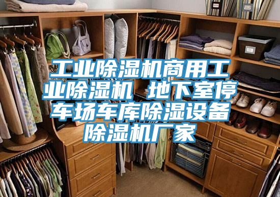 工業91看片网站商用工業91看片网站 地下室停車場車庫除濕設備91看片网站廠家