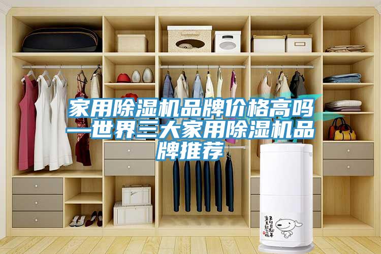 家用91看片网站品牌價格高嗎—世界三大家用91看片网站品牌推薦