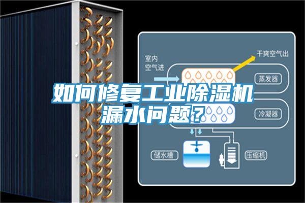 如何修複工業91看片网站漏水問題？