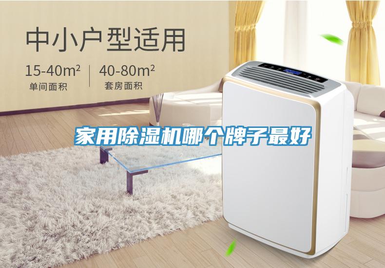 家用91看片网站哪個牌子最好