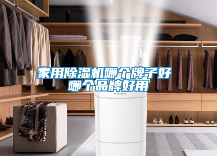 家用91看片网站哪個牌子好 哪個品牌好用