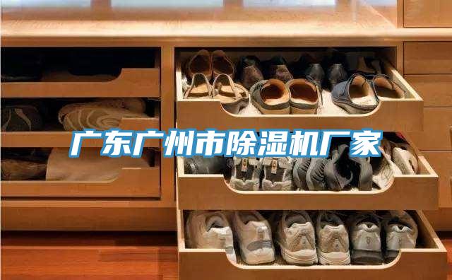 廣東廣州市91看片网站廠家