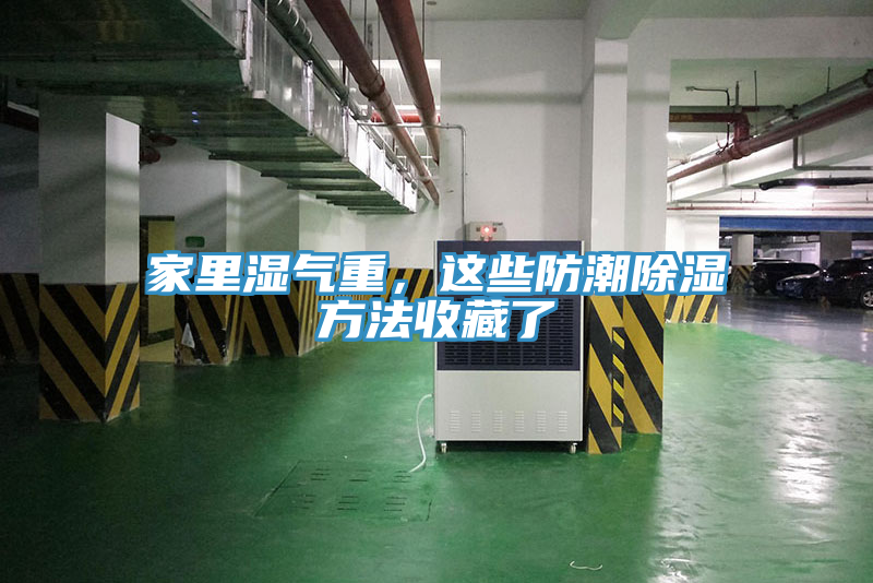 家裏濕氣重，這些防潮除濕方法收藏了