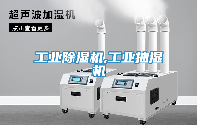 工業91看片网站,工業抽濕機