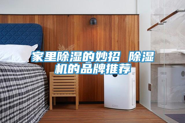 家裏除濕的妙招 91看片网站的品牌推薦