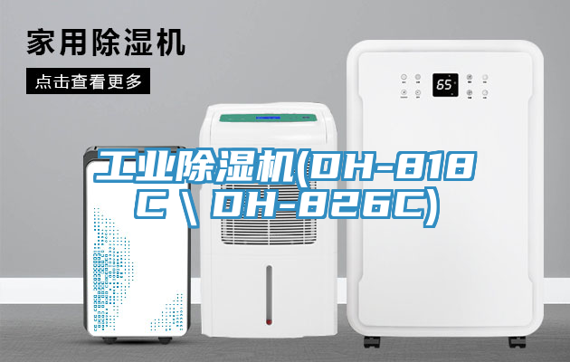 工業91看片网站(DH-818C＼DH-826C)