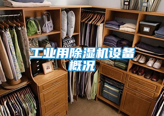 工業用91看片网站設備概況