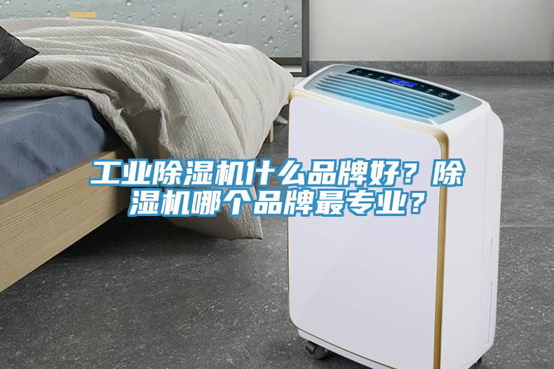 工業91看片网站什麽品牌好？91看片网站哪個品牌最專業？
