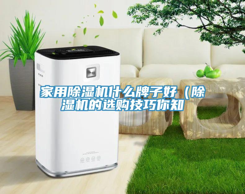 家用91看片网站什麽牌子好（91看片网站的選購技巧你知