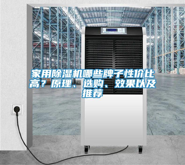 家用91看片网站哪些牌子性價比高？原理、選購、效果以及推薦